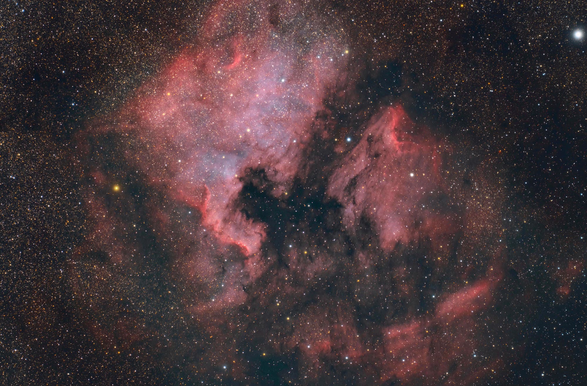 NGC 7000 Spektrum der Wissenschaft